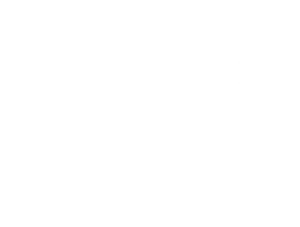 NR-icon white